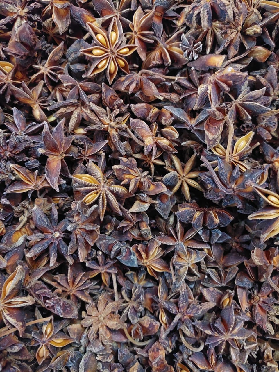 Spices Star Anies